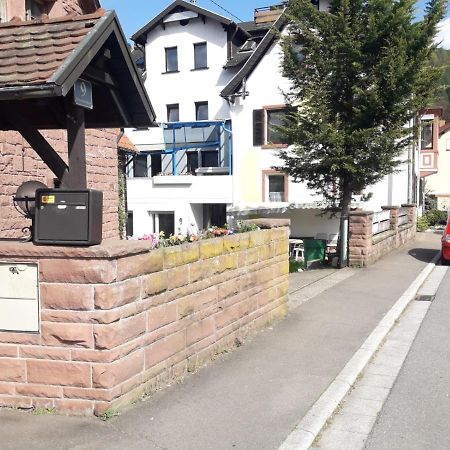 Grosse Wohnung Im Odenwald 1 Schonau  Eksteriør bilde
