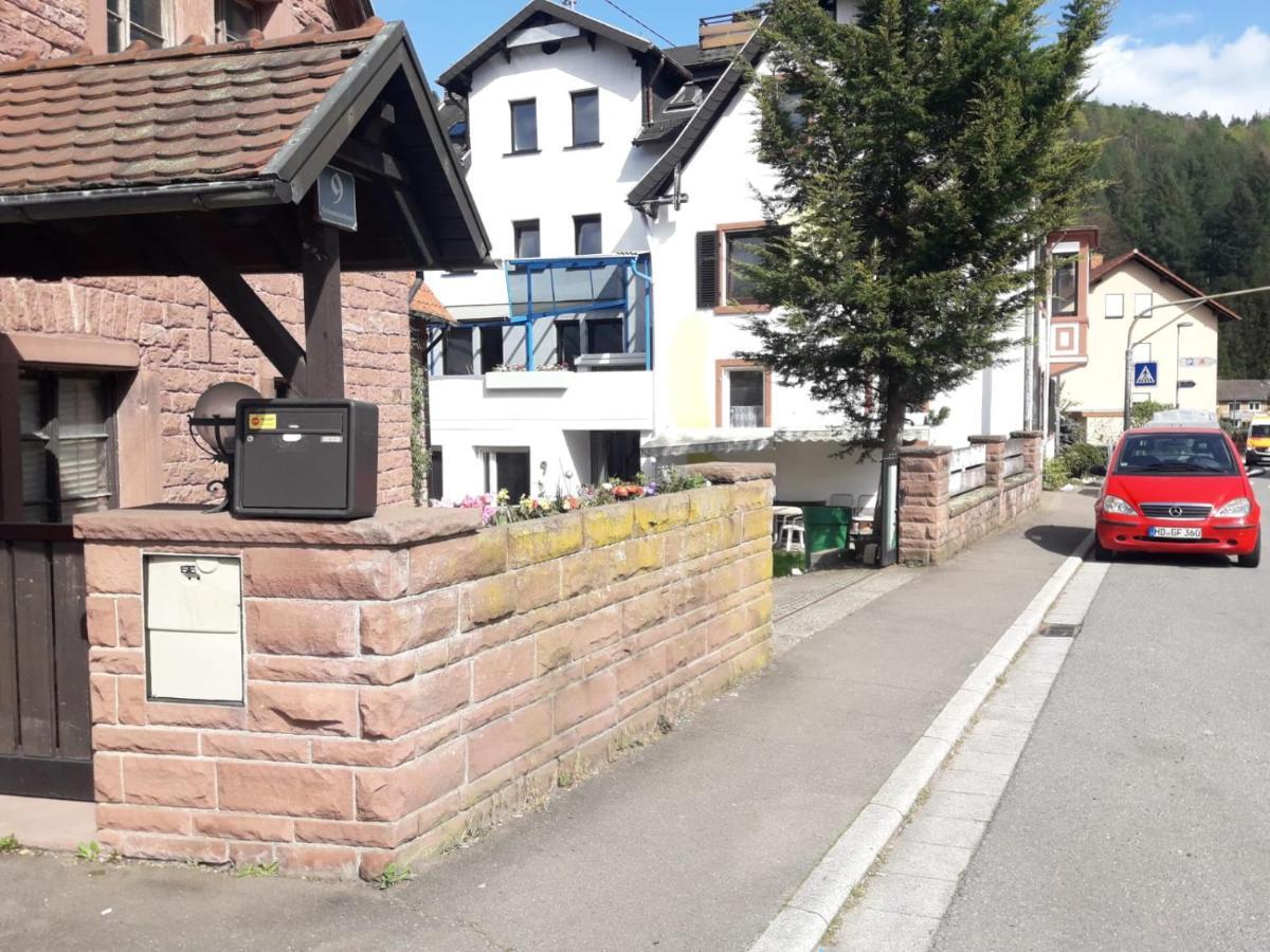 Grosse Wohnung Im Odenwald 1 Schonau  Eksteriør bilde